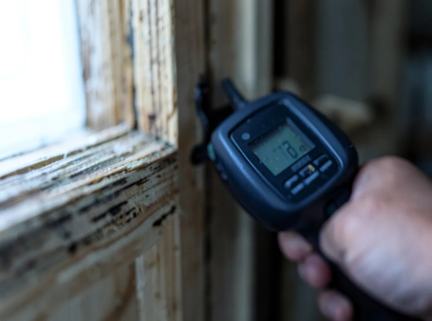 Moisture Inspection And Documentation in Sargeant, MN